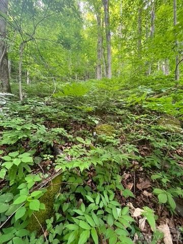 00000 Soco Road, Maggie Valley, NC 28751