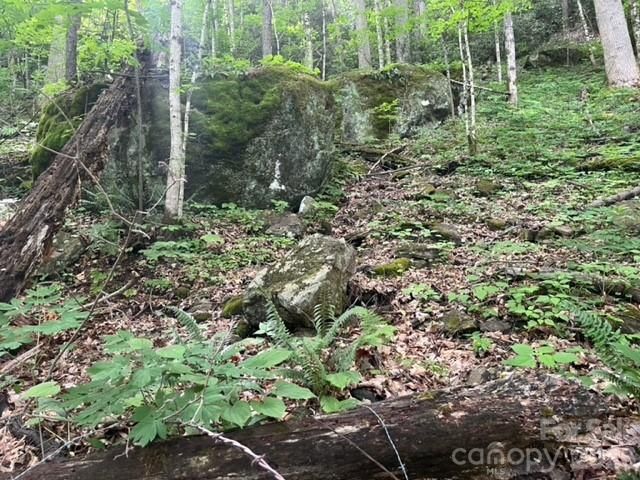 00000 Soco Road, Maggie Valley, NC 28751