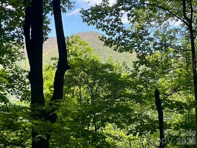 00000 Soco Road, Maggie Valley, NC 28751
