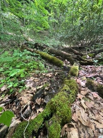 00000 Soco Road, Maggie Valley, NC 28751