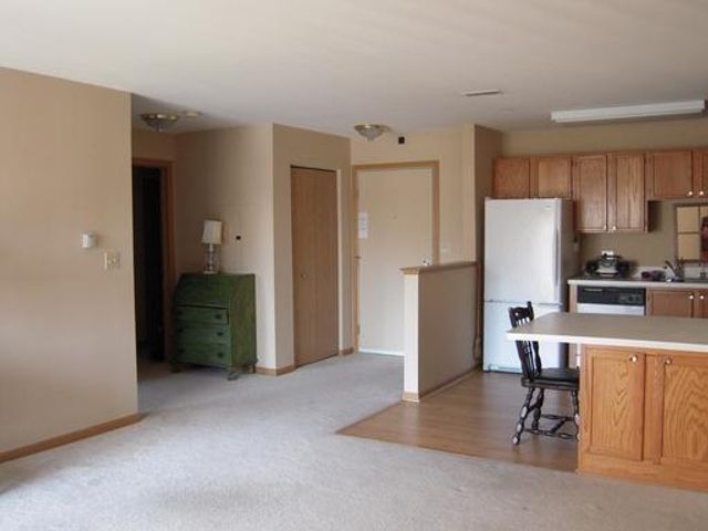 605 BARRINGTON Avenue 208, East Dundee, IL 60118