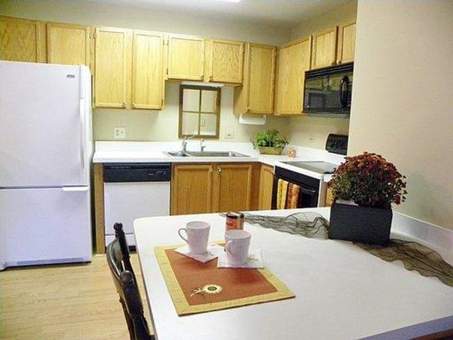 605 BARRINGTON Avenue 208, East Dundee, IL 60118