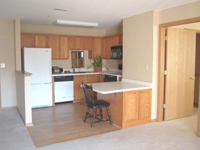 605 BARRINGTON Avenue 208, East Dundee, IL 60118