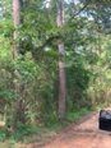 tbd Tanyard Rd, Conroe, TX 77303