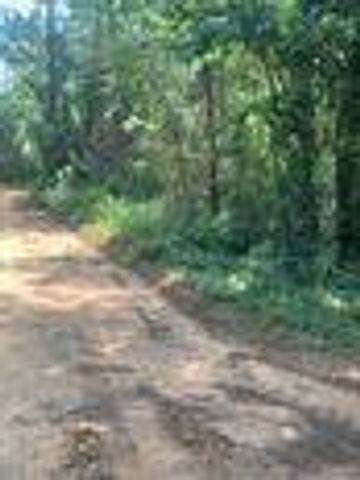 tbd Tanyard Rd, Conroe, TX 77303