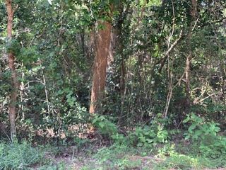 tbd Tanyard Rd, Conroe, TX 77303