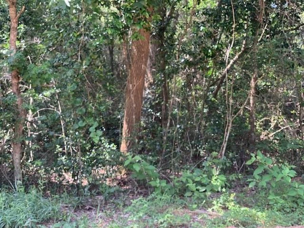 tbd Tanyard Rd, Conroe, TX 77303