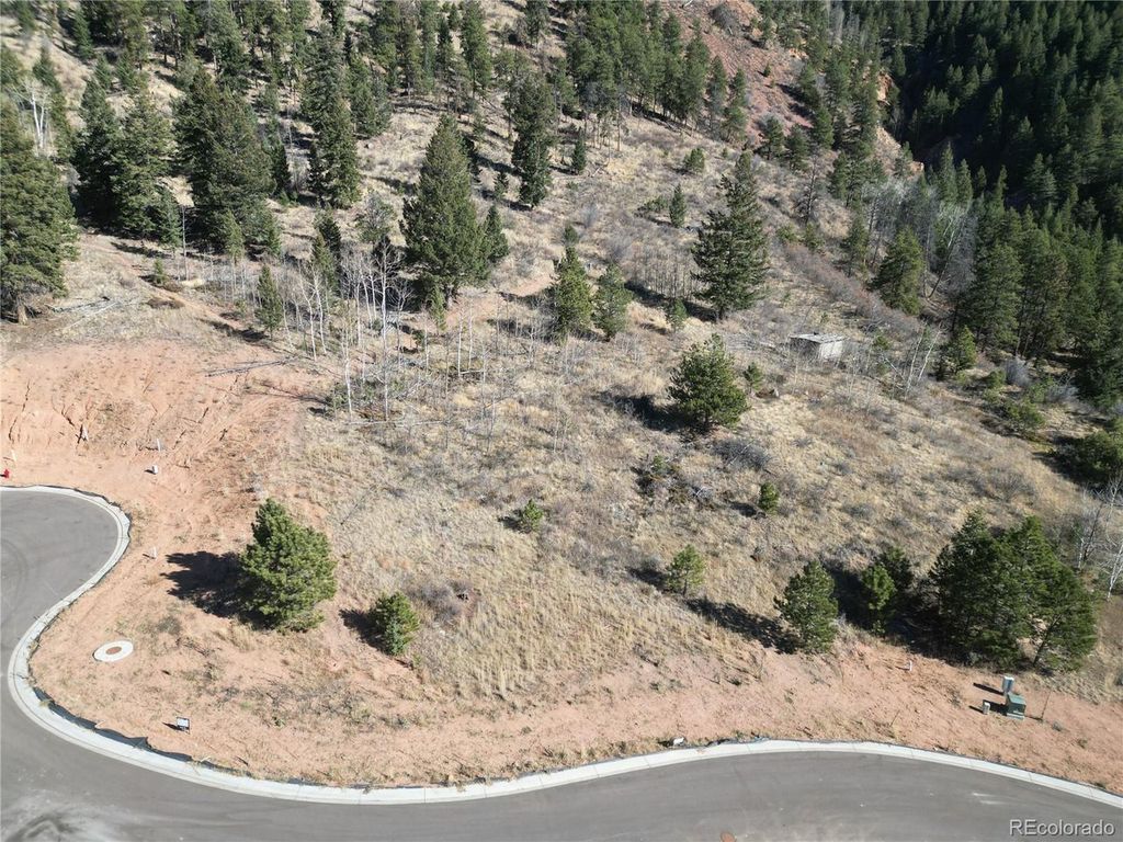 17 Blue Haven Pl, Woodland Park, CO 80863