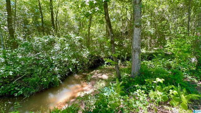 6544 COOSA COUNTY ROAD 66, Goodwater, AL 35072