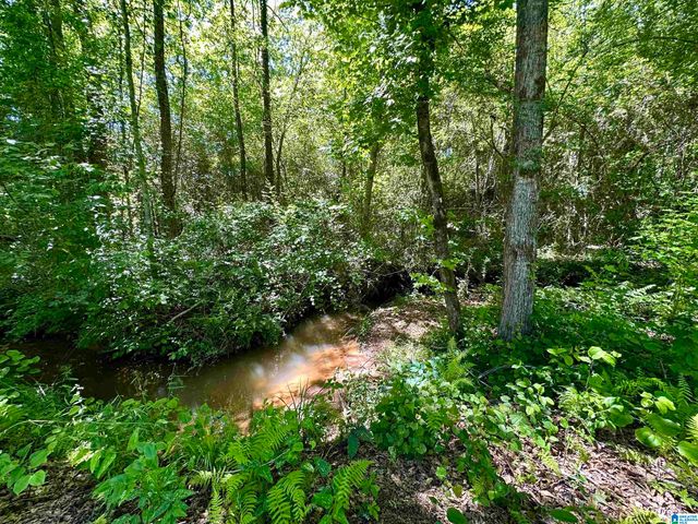 6544 COOSA COUNTY ROAD 66, Goodwater, AL 35072