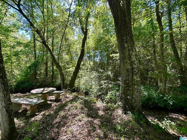 6544 COOSA COUNTY ROAD 66, Goodwater, AL 35072