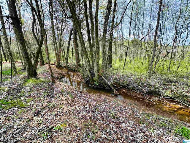 6544 COOSA COUNTY ROAD 66, Goodwater, AL 35072