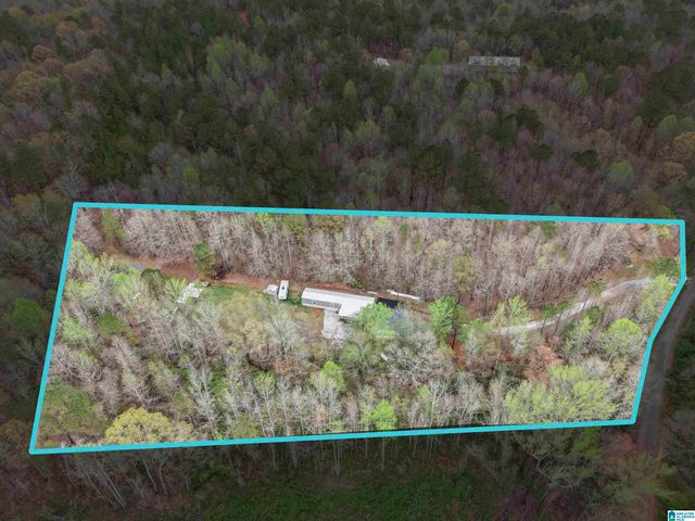 6544 COOSA COUNTY ROAD 66, Goodwater, AL 35072