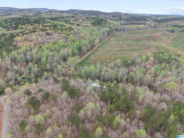 6544 COOSA COUNTY ROAD 66, Goodwater, AL 35072