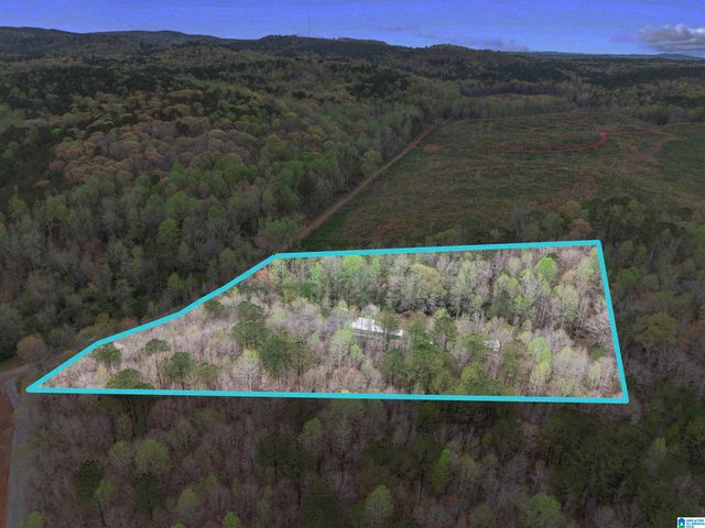 6544 COOSA COUNTY ROAD 66, Goodwater, AL 35072