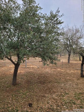 1951 Dowdy Rd, Seguin, TX 78155