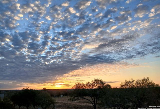 1951 Dowdy Rd, Seguin, TX 78155