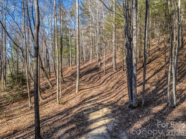 181 Justamere Lane, Hendersonville, NC 28739