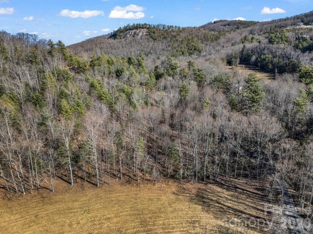 181 Justamere Lane, Hendersonville, NC 28739