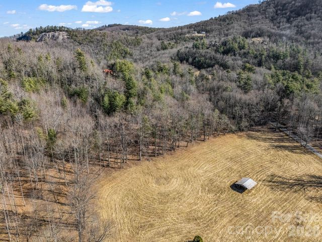 181 Justamere Lane, Hendersonville, NC 28739