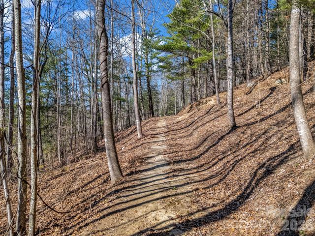 181 Justamere Lane, Hendersonville, NC 28739