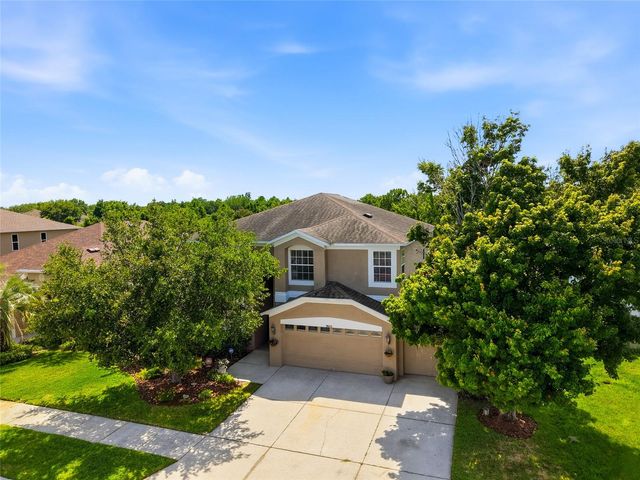 9643 ASBEL ESTATES STREET, Land O Lakes, FL 34638