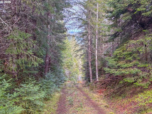 1890 UPPER CAMAS Rd, Camas Valley, OR 97416