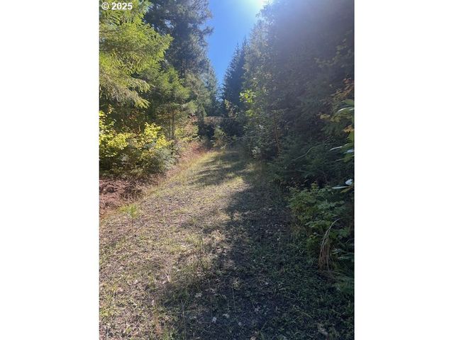 1890 UPPER CAMAS Rd, Camas Valley, OR 97416