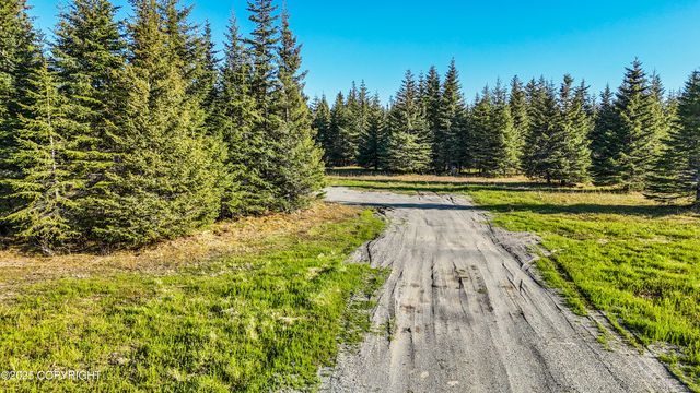 70859 Tall Tree Avenue, Anchor Point, AK 99556