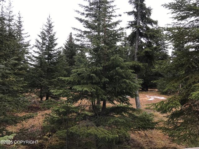 70859 Tall Tree Avenue, Anchor Point, AK 99556