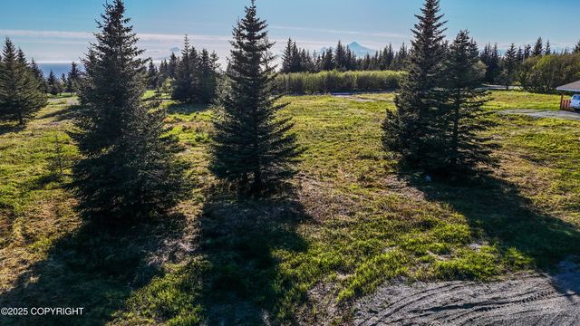70859 Tall Tree Avenue, Anchor Point, AK 99556