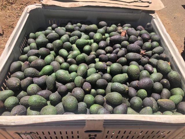 3135 E Valley Parkway, Escondido, CA 92027