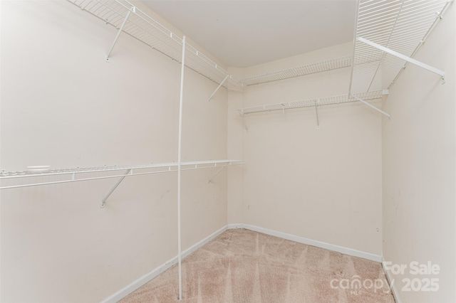 8611 Sabella Lane, Charlotte, NC 28216