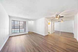 711 Holiday Drive 36, Galveston, TX 77550