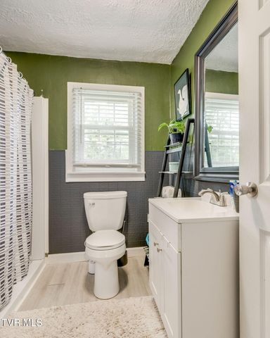 207 Johnston Avenue, Bristol, TN 37620