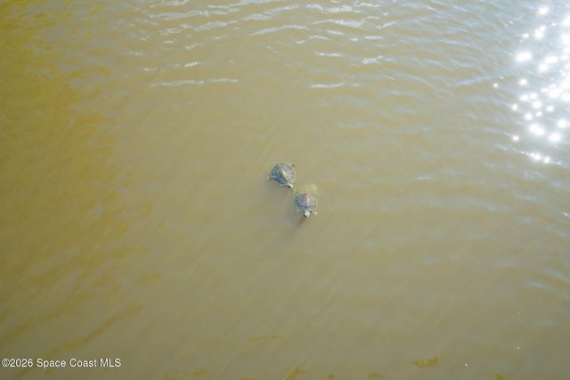 3786 Sierra Drive, Merritt Island, FL 32953