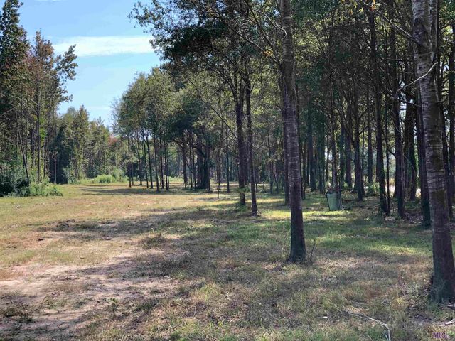 1645 Midway Rd, Slaughter, LA 70777