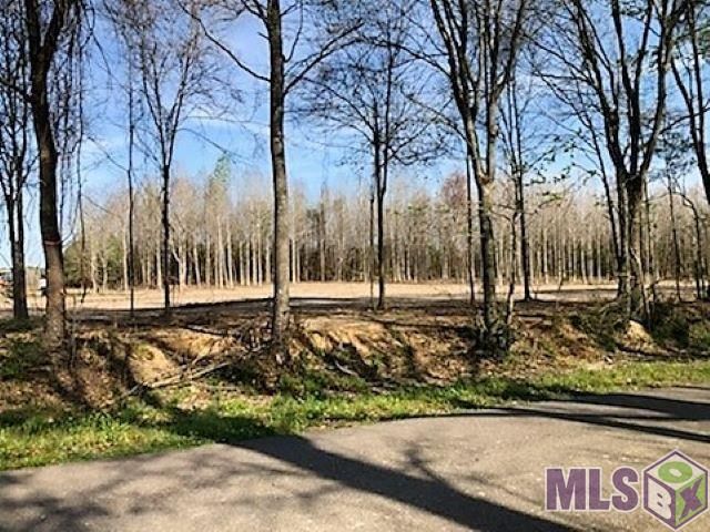 1645 Midway Rd, Slaughter, LA 70777