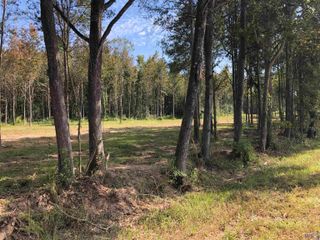 1645 Midway Rd, Slaughter, LA 70777