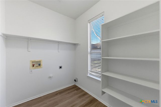 113 Spring Branch Cove, Kyle, TX 78640