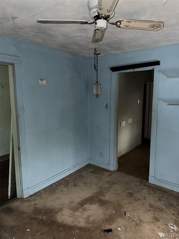 615 Cornell Avenue, Webster Groves, MO 63119