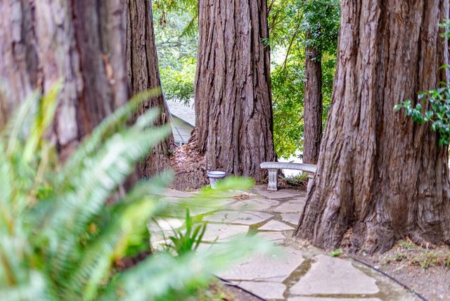 106 Hidden Drive, Scotts Valley, CA 95066