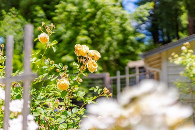 106 Hidden Drive, Scotts Valley, CA 95066