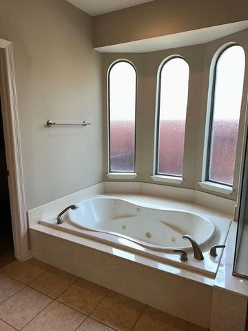 12010 Paladora Point Court, Houston, TX 77041