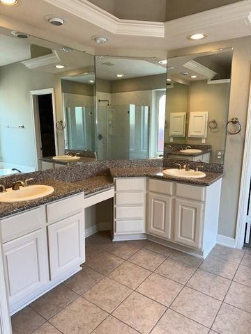 12010 Paladora Point Court, Houston, TX 77041