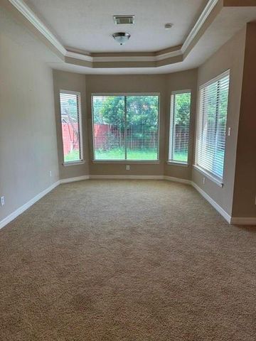 12010 Paladora Point Court, Houston, TX 77041