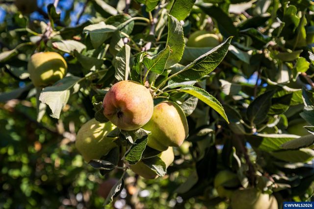 1804 Settlers Spring Dr NW, Salem, OR 97304