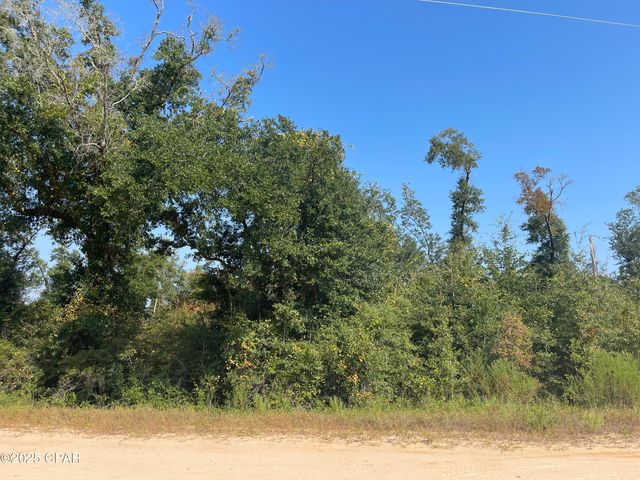 00 Union Drive, Alford, FL 32420