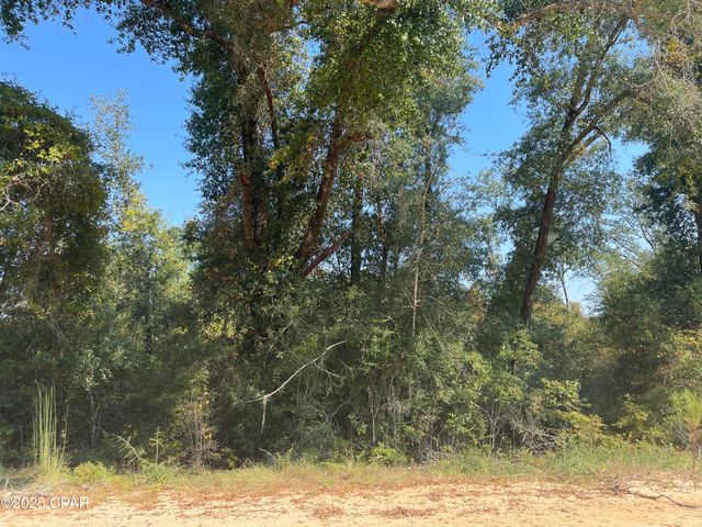 00 Union Drive, Alford, FL 32420