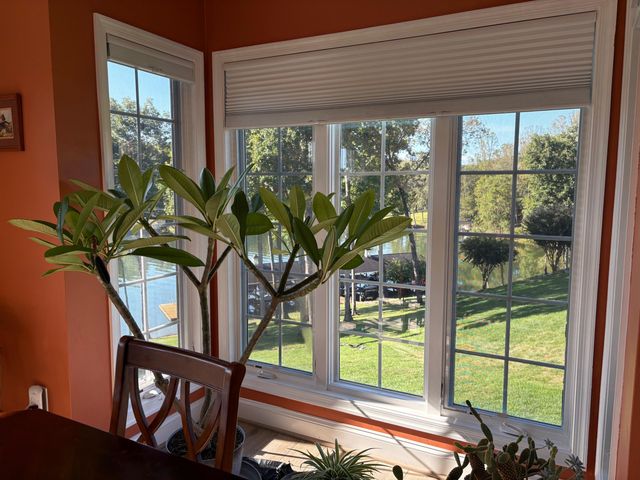 335 S Pointe Shore Dr Apt 308, Moneta, VA 24121